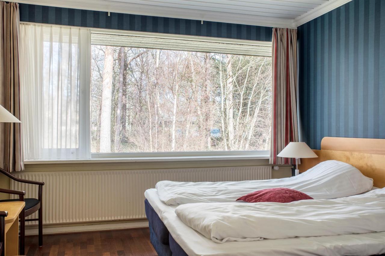 Double Room Extra Bed,1589333376:JPEG