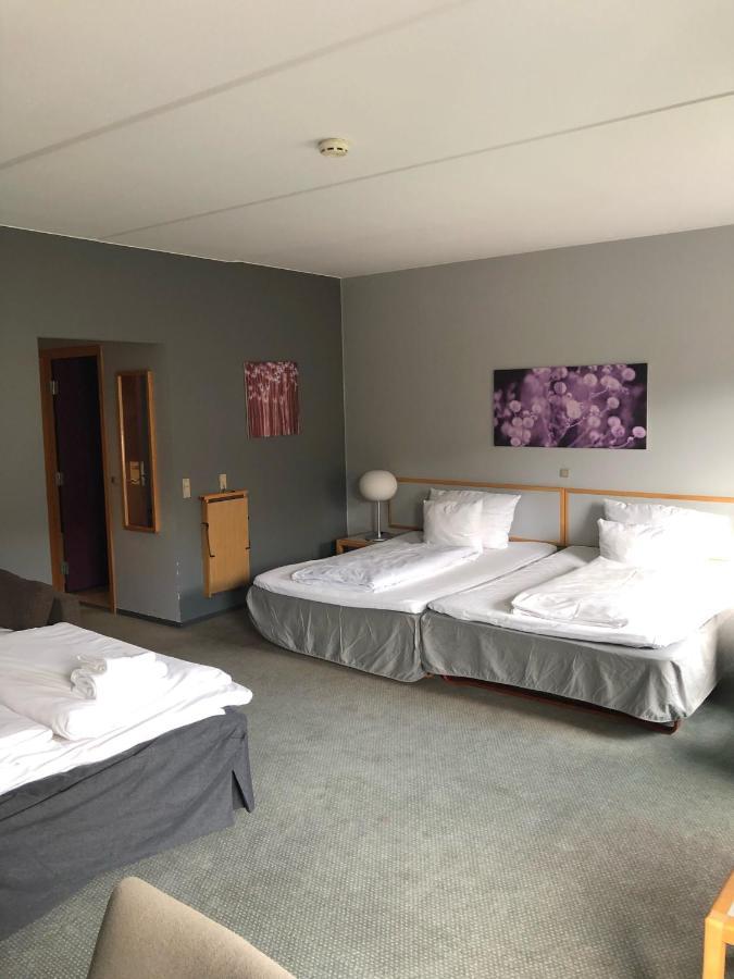 Family Room,1259161501:JPEG