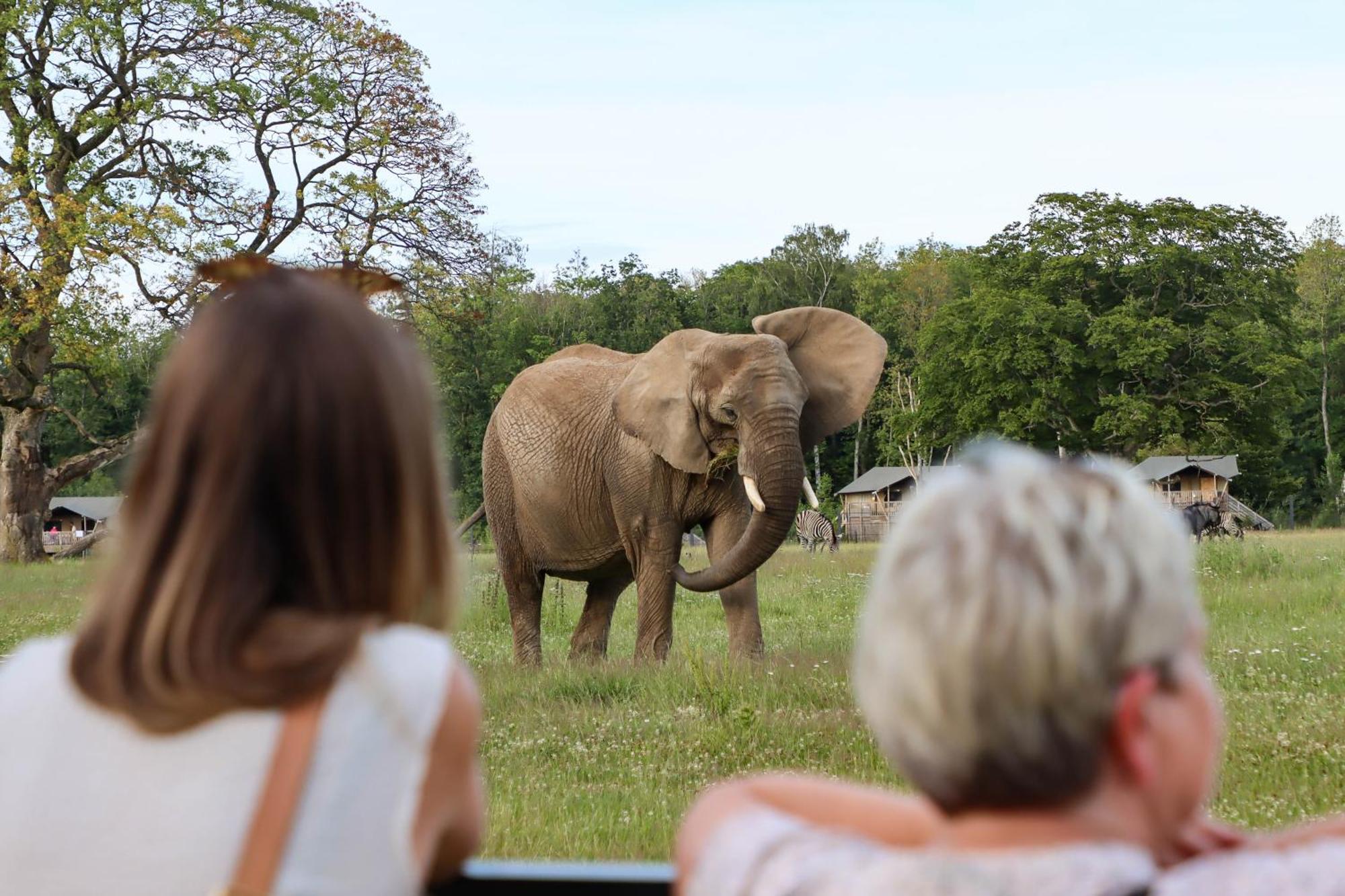 Camp Ruaha,1657132519:JPEG