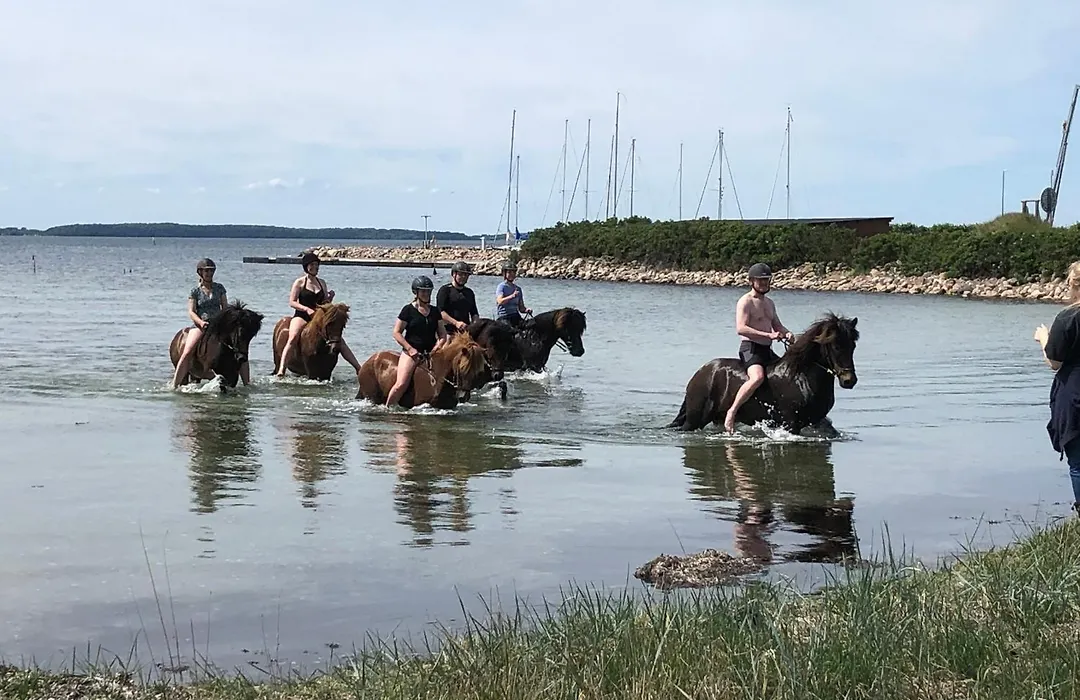 Birkelygaard B&B-1