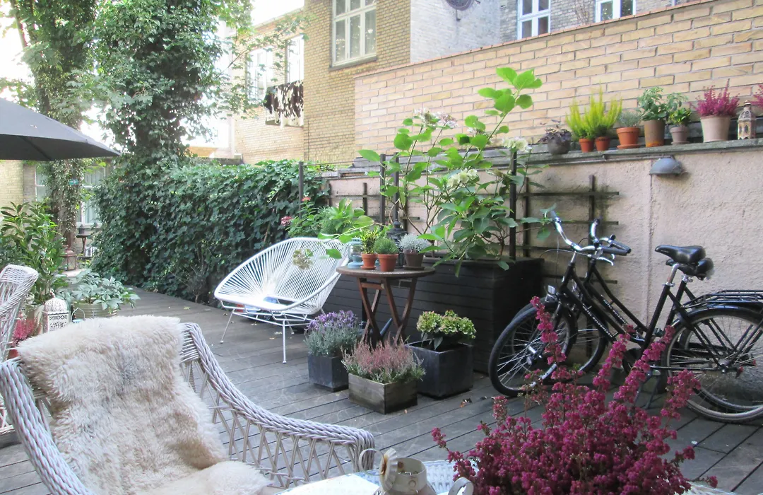 Aarhus Guldsmeden-1