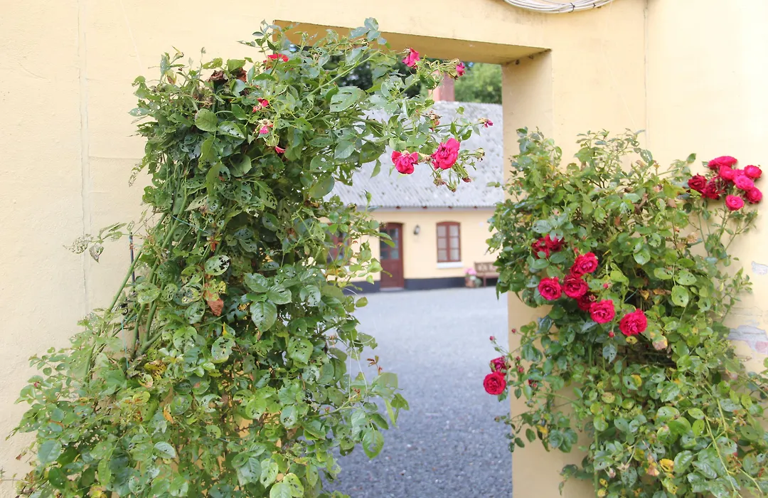 Munkebjerg Bed&Breakfast-1