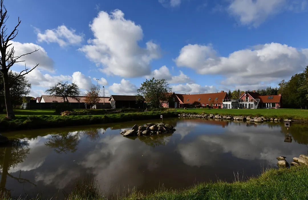 Hos Mette-1