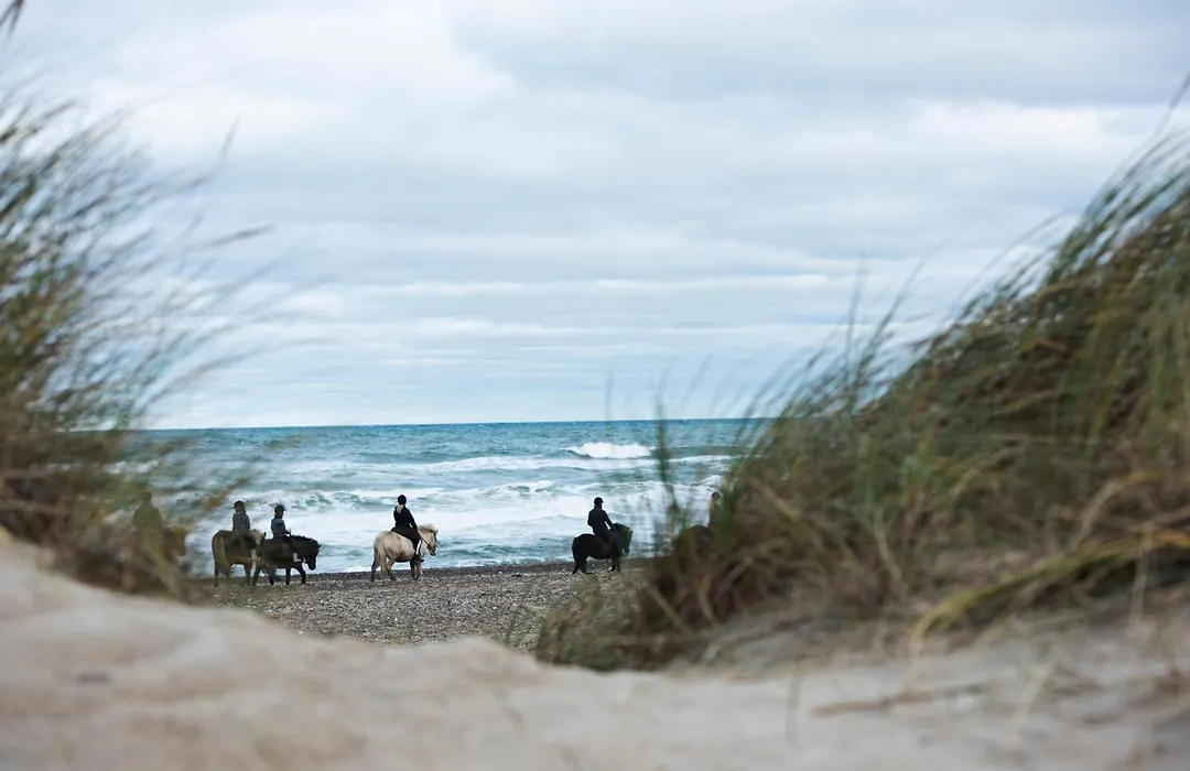 Feriecenter Slettestrand-1