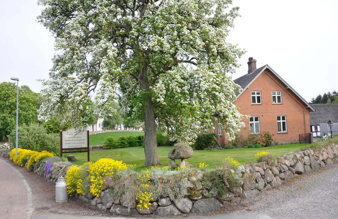 Lundsgaard Bed & Breakfast-1