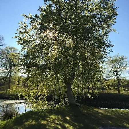 Lerbæk Hovedgaard-3
