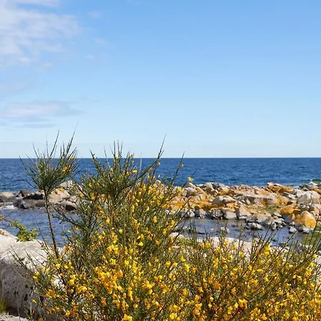 Nordlandet-2
