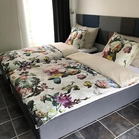 Fly B&B-3