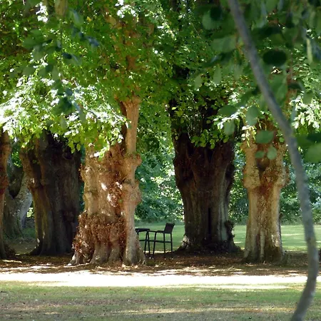 Lerbæk Hovedgaard-2