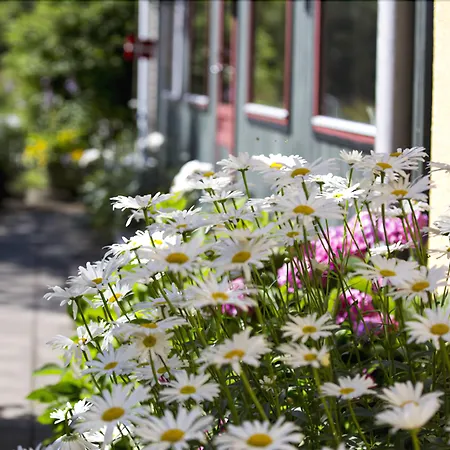 Hotel Inger-3