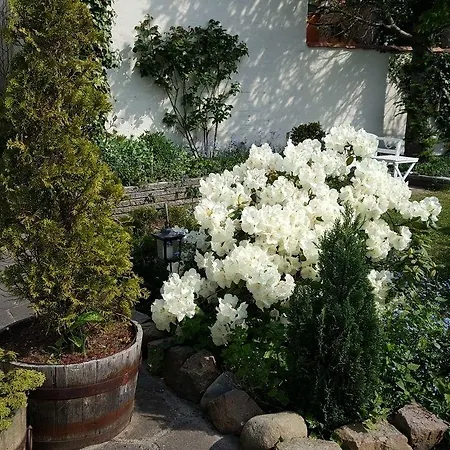 Sverres Hotel-2
