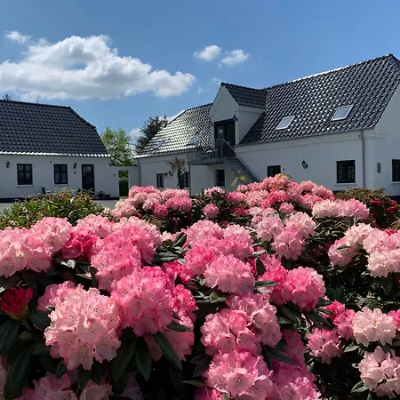 Hedegaarden-3