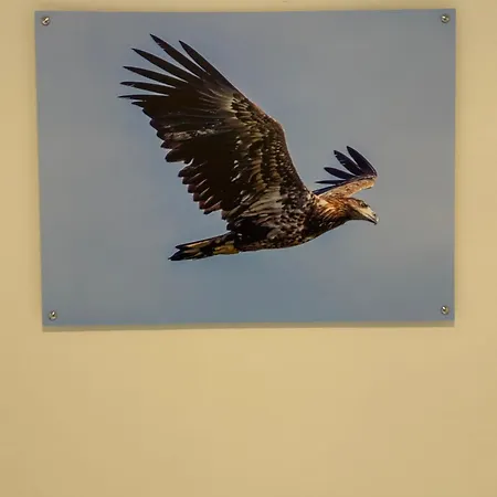 Den Gode Søvn-2