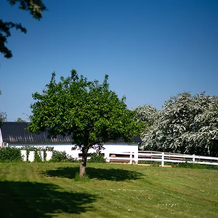 Den Gamle Graensekro Inn-2