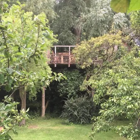 Treehouse B&B-3