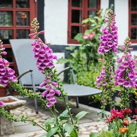 Grundfør bed&breakfast-2