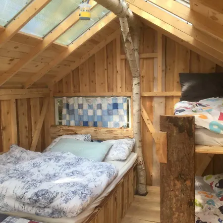 Treehouse B&B-2