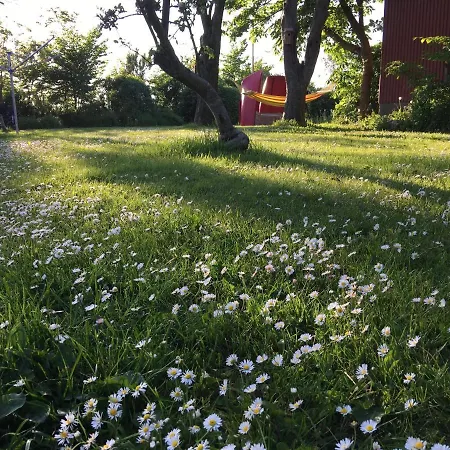 B & B Langagergaard-2