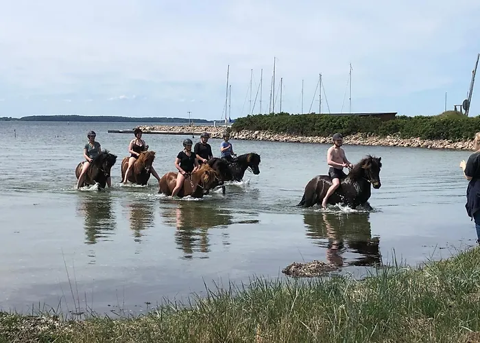 Birkelygaard B&B Millinge