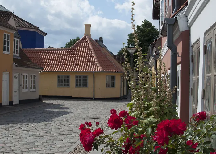 City Hotel Nattergalen Odense