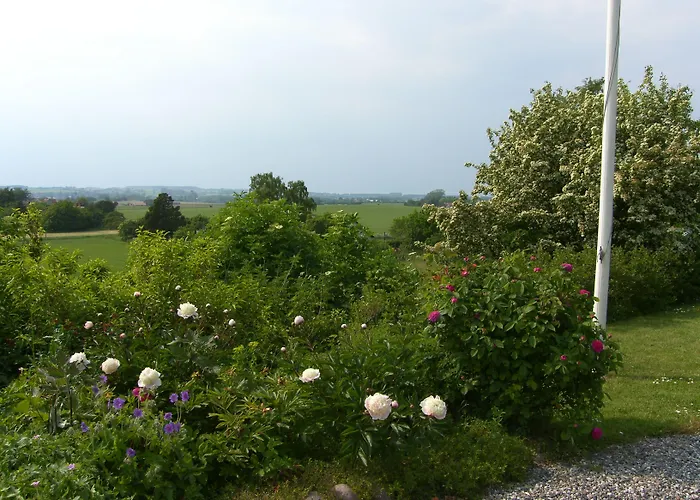 Klintholm B & B Bistro Borre