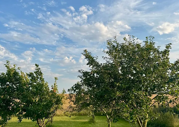 B & B Langagergaard