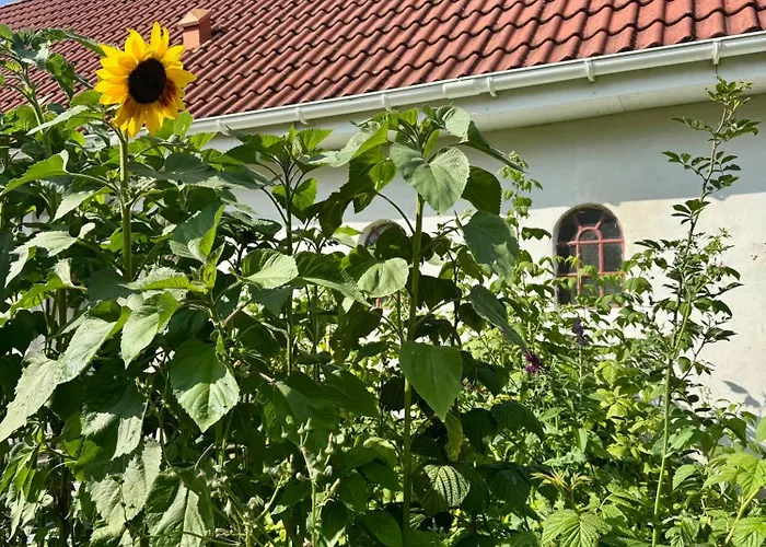 B & B Langagergaard